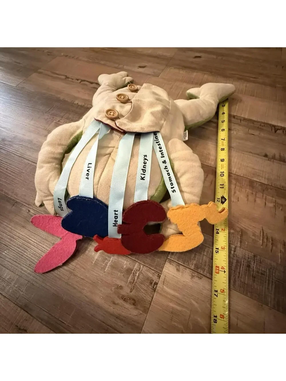 Kiwi‎ Co Froggie Lab Dissection Plush Toy 17x11x4